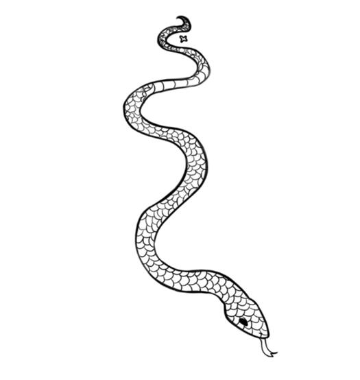 Tattoo Snake